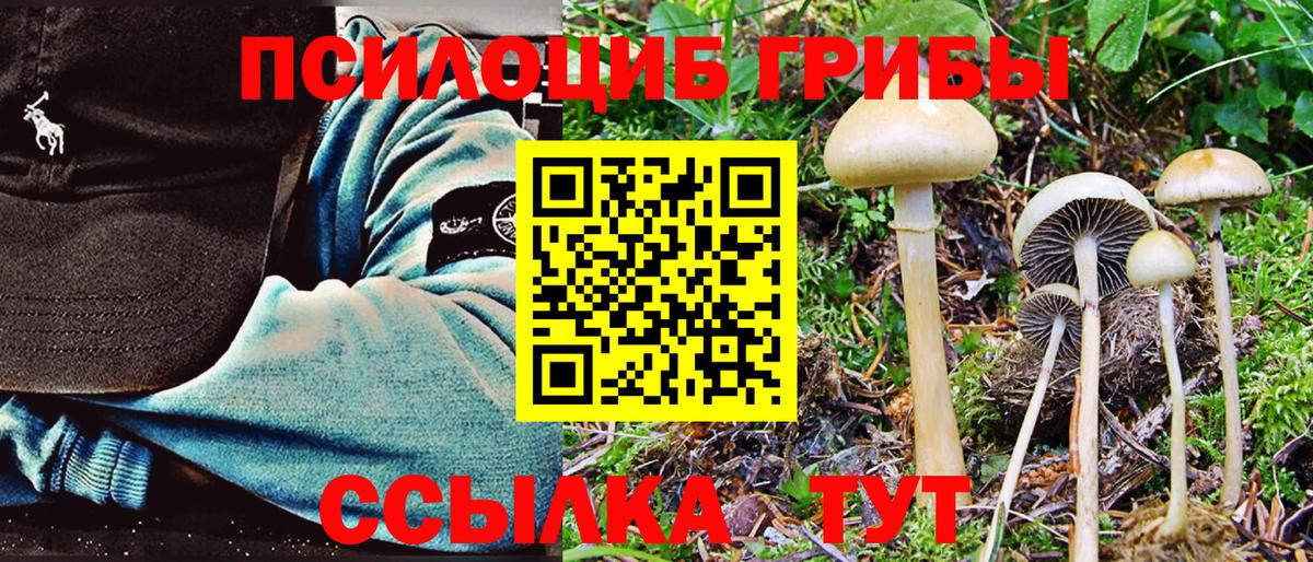 Галлюциногенные грибы MAGIC MUSHROOMS  Вход с VPN  Кисловодск 