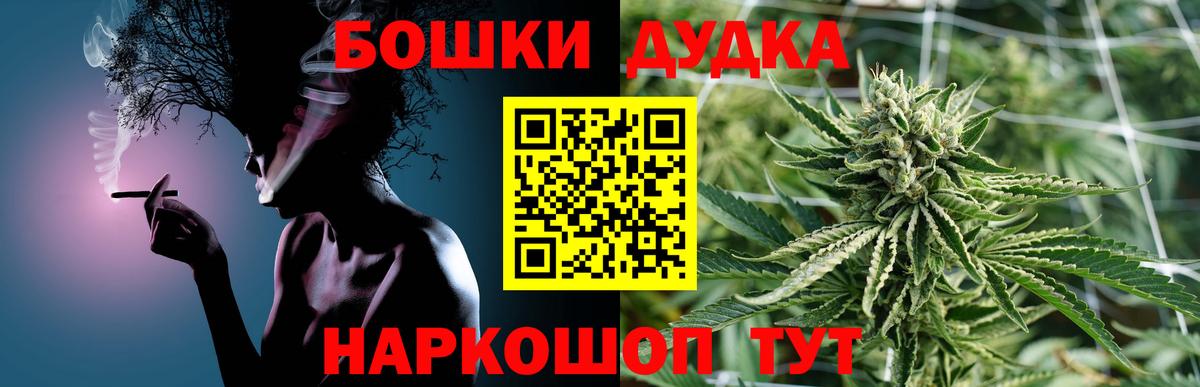Шишки марихуана ГИДРОПОН Кисловодск